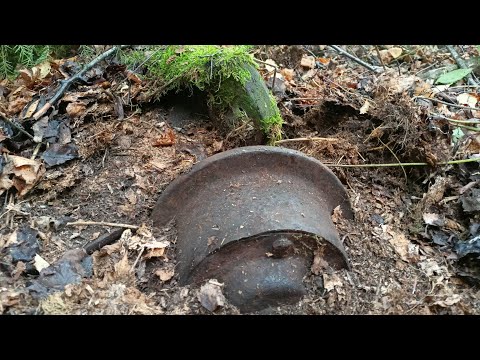 Видео: НАХОДКИ В ТАЙГЕ