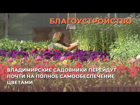 Видео: Владимирские садовники перейдут почти на полное самообеспечение цветами