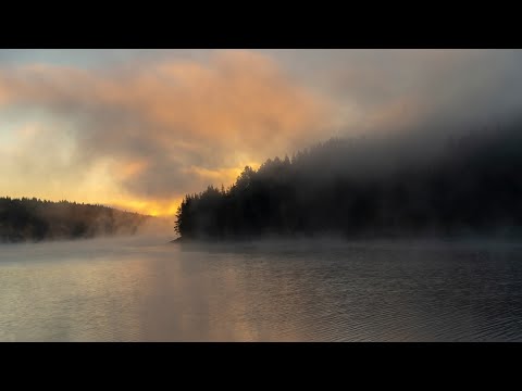 Видео: СКОРПИОН 💫 - СЪОБЩЕНИЯ ЗА ВАС 