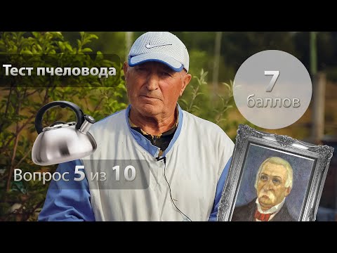 Видео: А какой ты пчеловод: чайник или авторитет? Проверь себя — интерактивный тест от Видеопасеки.
