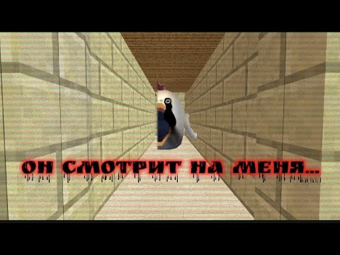 Видео: Он смотрит на меня...                                                        1 часть 