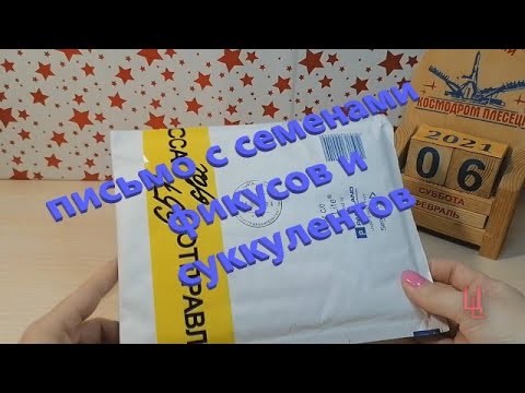 Видео: посылка №11  семена фикусов и суккулентов из интернет-магазина Адениум-Дома
