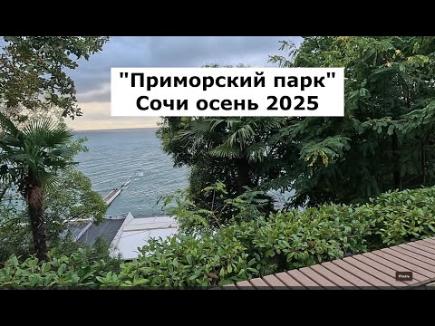 Видео: Прогулка Сочи осень 2025. Приморский парк
