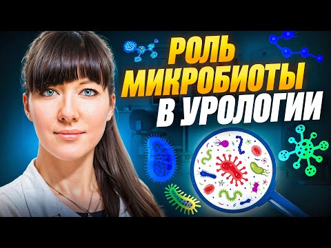 Видео: От кишечника до мочевого пузыря: как бактерии влияют на здоровье мочеполовой системы?
