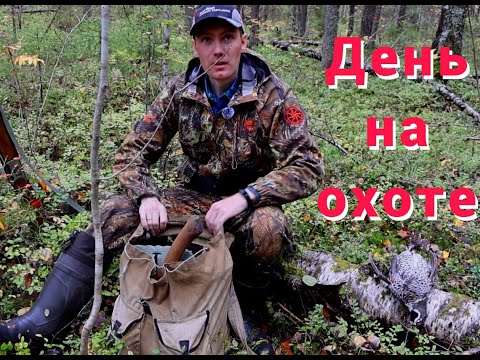 Видео: Охота на рябчика. Работа на путике.