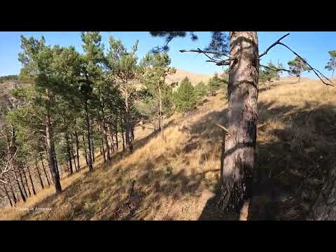 Видео: Горы, #Ванадзор 09.11.2025