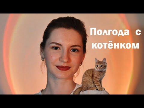 Видео: Полгода с котёнком. Что изменилось? Отвечаю на комментарии