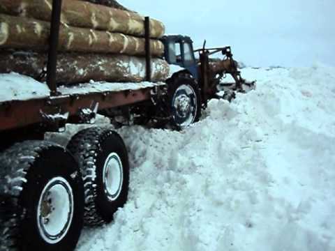 Видео: с.Архангельское.перевозка леса.