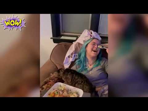 Видео: Любимые котики!!!!!)))))))