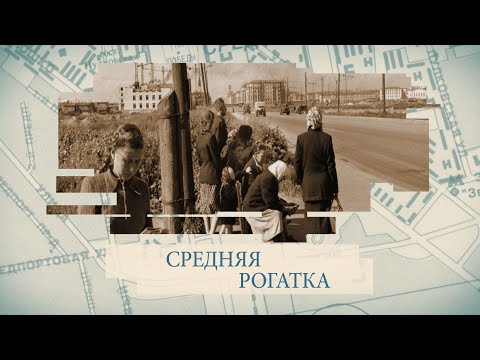 Видео: Средняя Рогатка / «Малые родины большого Петербурга»