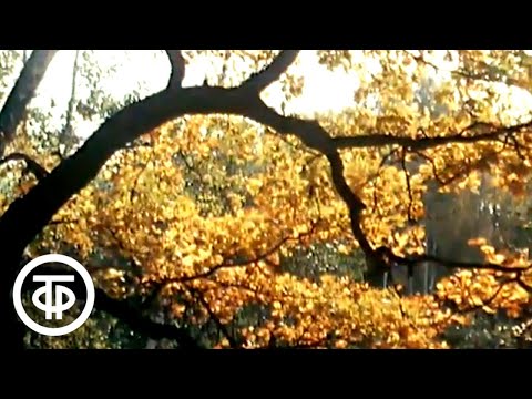 Видео: Уж небо осенью дышало... Видеозарисовка (1984)
