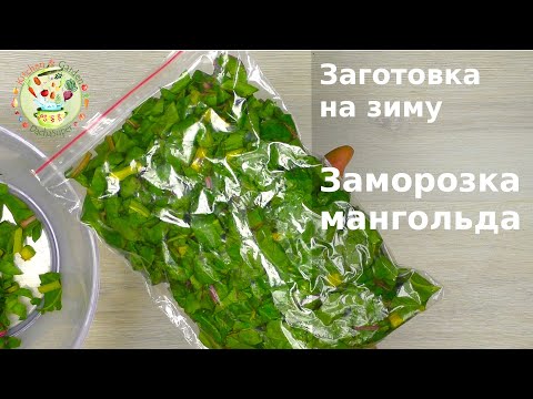 Видео: Мангольд на зиму. Заморозка мангольда