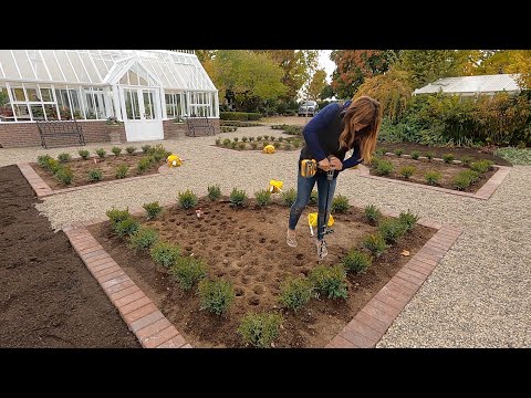 Видео: Замена самшита и посадка деревьев и луковиц! 🌳🌷🙌 // Garden Answer