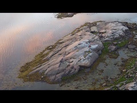 Видео: СЕВЕРНАЯ КАРЕЛИЯ. БЕЛОЕ МОРЕ 2023. 8 (ЗАКЛЮЧИТЕЛЬНАЯ) СЕРИЯ.