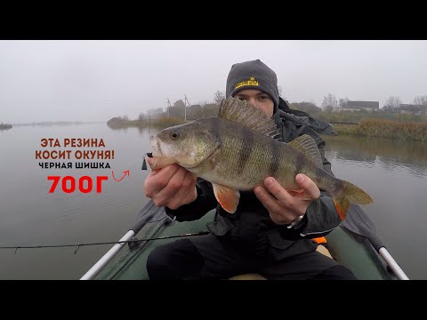 Видео: ГОРБАТЫЙ ОКУНЬ на разные ШИШКИ | АКТИВНЫЙ ГОРБАЧ на микруху  | СВИСЛОЧЬ