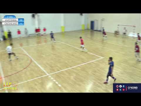 Видео: AVICENNA - ОБОИLAND