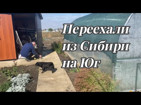 Видео: 683ч🏡01.10.25-Свет в хозблок//Посадила вишню//Червец на колеусах