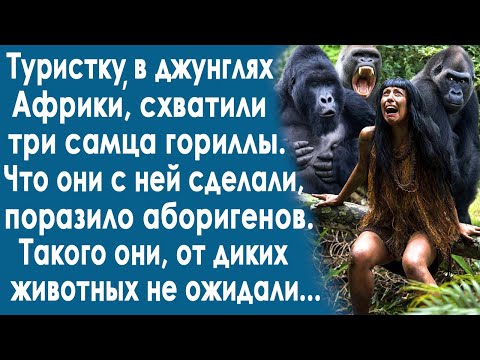 Видео: Туристку в джунглях Африки, схватили три самца гориллы. Что они с ней сделали, поразило аборигенов..