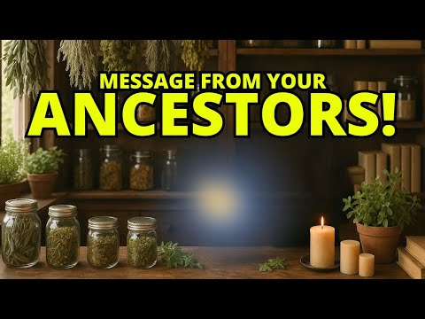 Видео: Ваш предок по мужской линии по материнской линии несёт послание! | Чтение предка №289 🍂❄️