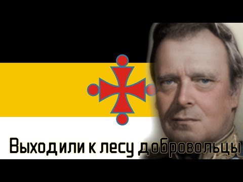 Видео: [TNO] Вятка - Выходили к лесу добровольцы