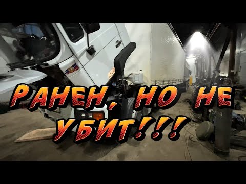 Видео: Зализываю раны после севера.