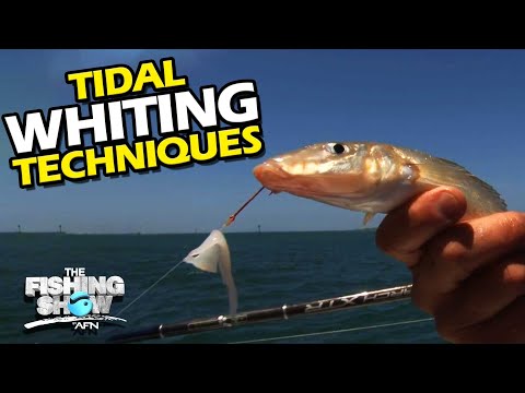 Видео: Методы приливной ловли мерланга