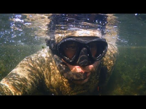 Видео: ДИАЛОГИ С ПОДВОХАМИ. ДИАЛОГ РЫБОЛОВА И ПОДВОДНОГО ОХОТНИКА 2
