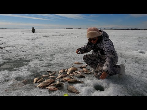 Видео: УМЧАЛАСЬ с Подругой ТУДА, где Рыбаки сезон закрывают.....
