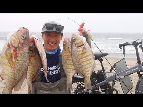 Видео: Рыбалка на серфперч на побережье Калифорнии