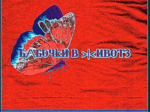 Видео: Б/\Б0ЧkИ B }I{ИB0T3 Н3 Д/\ЮT n0k0Я