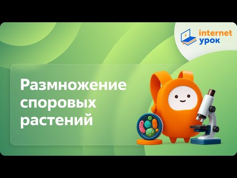 Видео: Биология 6 класс. Размножение споровых растений