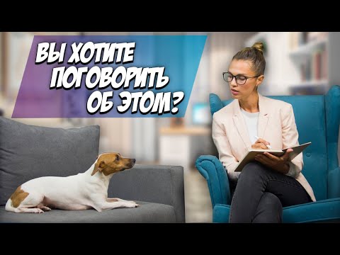 Видео: 10 Интересных Фактов из Психологии Собак