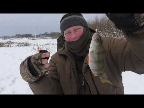 Видео: Зимняя рыбалка у острова на Чепце.