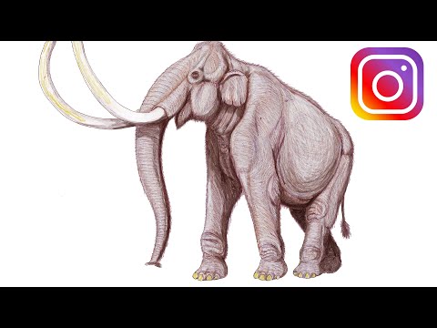 Видео: Становимся богатыми на протяжении 16 минут