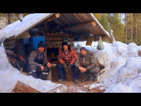 Видео: Рыбалка в Глуши.Лесная Изба.Ловим Хариуса на Таёжной Речке.