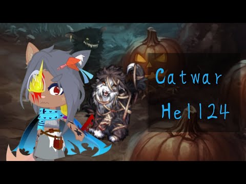 Видео: Хэлл24. Catwar