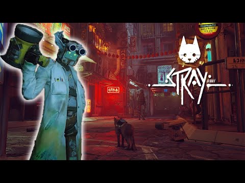 Видео: Дефлюксор вещь! Stray #3