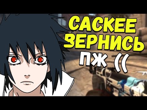 Видео: АСМР КСГО ЖУЮ ЖВАЧКУ ПЕРВЫЙ РАЗ В ИНТЕРНЕТЕ