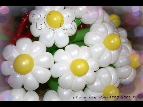 Видео: Ромашка из воздушных шаров - 8 лепестков из 1 ШДМ 260 S