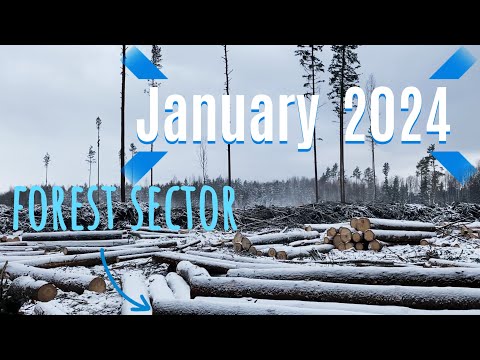 Видео: Начинаем 2024й год с настоящей зимой