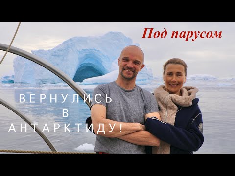 Видео: Вернулись в Антарктиду!