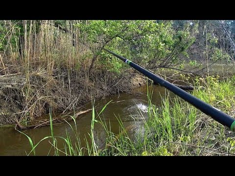 Видео: В РУЧЬЕ РЫБА ЛОМАЕТ УДОЧКИ!!Килограммовый язь,крупный окунь,карась ,лещ плотва.Рыбалка 2020