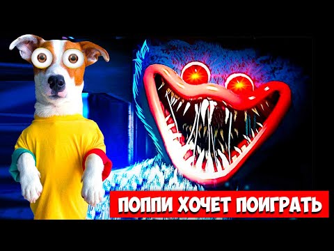 Видео: Poppy Play Time Chapter 1 ► Прохождение игры (Глава 1) + концовка