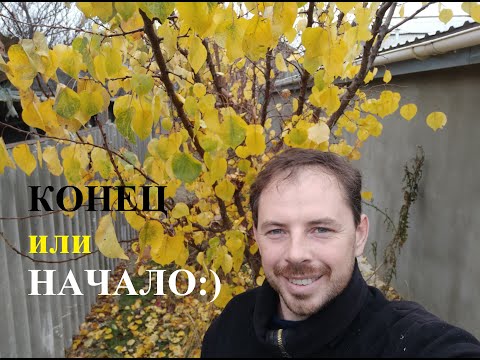 Видео: Кроликоферма ЛПХ "КрольКороль" 2021 год, продолжение следует...