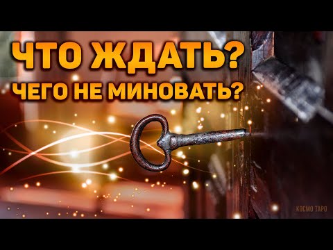 Видео: Что вам нужно знать прямо сейчас? Что ждать, чего не миновать?