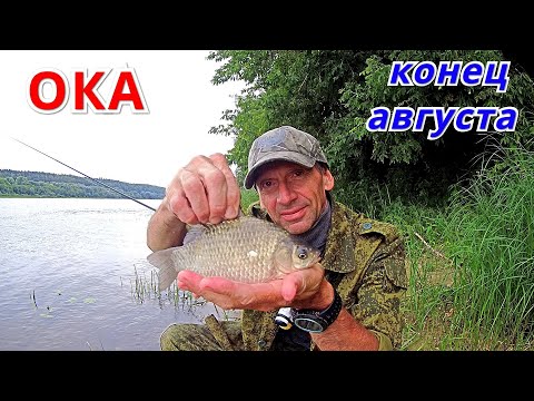 Видео: Вся РЫБА ЗА ПОЛЧАСА. Карась и плотва на Оке.