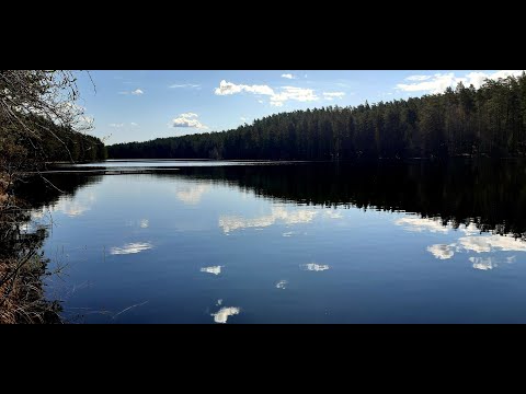 Видео: Ягодное ИТМО. Обзорная экскурсия