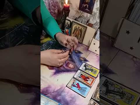 Видео: Вражина крыса колдовала да в тупик попала?