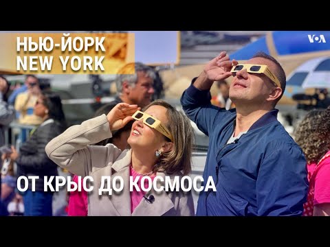Видео: Нью-Йорк: крысы, затмение, фотограф-бродяга и японские бутерброды сандо