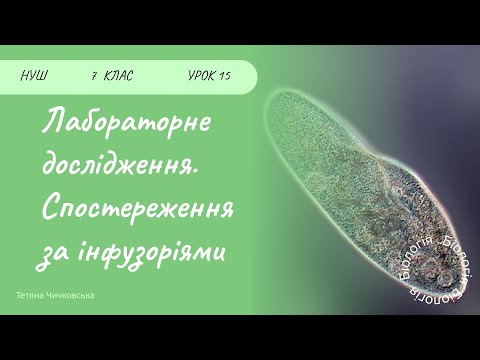 Видео: Лабораторне дослідження “Спостереження за інфузоріями»